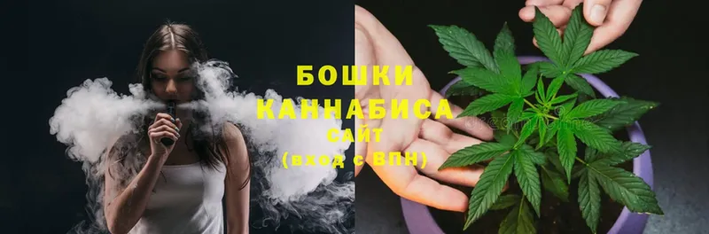 Бошки марихуана Bruce Banner  Давлеканово 